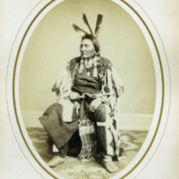 Se-Tan-Si-Tan, Yellow Hawk (Sans Arc Chief, Dakota)