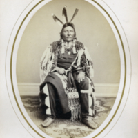 Se-Tan-Si-Tan, Yellow Hawk (Sans Arc Chief, Dakota)