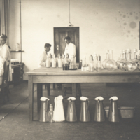 The South African Institute for Medical Research, Laboratory No. 15, Vaccine department.