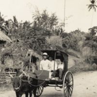 Carabao drawn wagon, two passengers one driver.