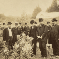 W. J. V. Osterhout, Jacques, Loeb, Hugo de Vries, and others full length, informal, standing outside at the University of California.