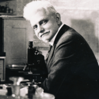 Wilhelm Snow Mueller, in laboratory, looking up from microscope.