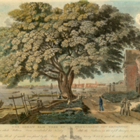 The Great Elm Tree of Shackamaxon (now Kensington), under which William Penn Conluded his Treaty with the Indians in 1682 it fell during a storm in 1810.