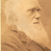 Portrait of elderly Charles Darwin, cabinet card.