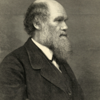 "Mr. C. R. Darwin, Author of the Origin of Species."