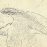 Double Eagle sketch, 1813