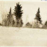 5-28-g: Unidentified outdoor winter scene