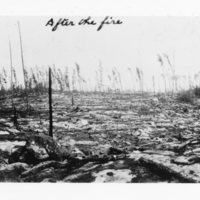 A-070: Berens River, after forest fire