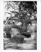 A-324: Drying rack, with dog 