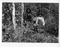 F-151: Three Ojibwa men, portrait, near encampment B 