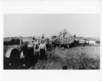 F-198: Threshing 