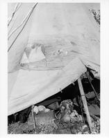 F-277: Tent structure with illustration 