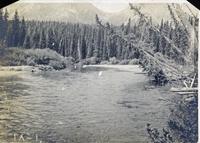 "Muskeg and Swamp - Eastern Slope"