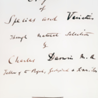 Manuscript mock-up of title page to Darwin's Origin of Species.