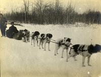 "Dog Trains From Great Slave Lakes"