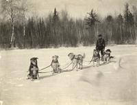 "A Crack Team: Anamoose (leader), Mohegen, Coyote Jane, Coolee and Kawaee"