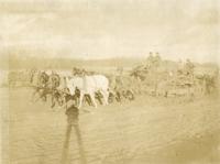 "Austen Grader at Mule Camp No. 2, Resdy 22"