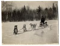 "A Crack Dog Team Party 6 7th Division N.T.C.R."