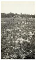 Sweat-house near tent of Knife