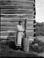 598: Jemima Gibson, pounding corn with wooden mortar for festival at Onondaga Longhouse