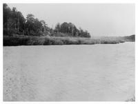 D030: Fields along shoreline