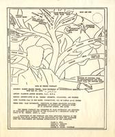 Annotated Diagram of Robert Yerkes' Primate Tree