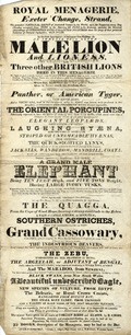 Royal Menagerie, Exeter 'Change, Strand, the grandest national depot of animated nature in the world, open for inspection every day...