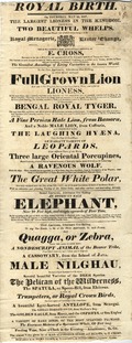 Royal Birth. On Thursday, May 22, 1817, the largest lioness in the kingdom, produced two beautiful whelps, male and female (of which one is now living) at the Royal Menagerie