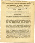 Proposals for publishing by subscription, dedicated, by permission, to the Honourable Court of Directors of the East India Company, 