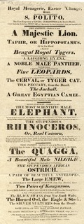 Royal Menagerie, Exeter 'Change, Strand, revived and improved by S. Polito, the first emporium of living curiosities in the known world; is now classically divided into three different apartments, in a most substantial, clean, and beautiful order