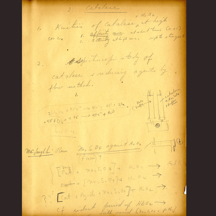 2. Notes outlining ideas for Chance's stopped-flow apparatus with drawing.