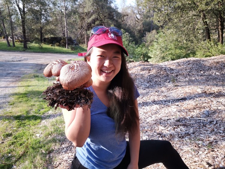 Suzanne Ou in nature holding a large mushroom.